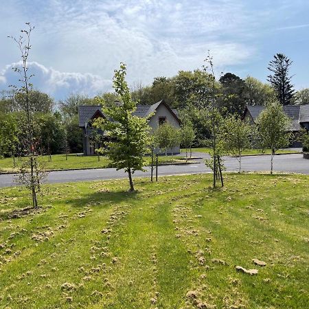 No 2 Ardnagashel Woods Villa Ballylickey Kültér fotó
