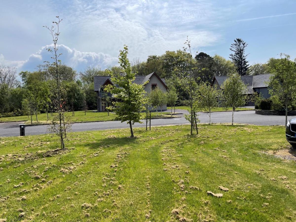 No 2 Ardnagashel Woods Villa Ballylickey Kültér fotó